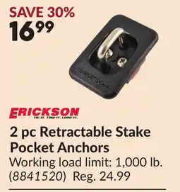 Princess Auto 2 pc Retractable Stake Pocket Anchors offer