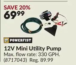 Princess Auto 12V Mini Utility Pump offer