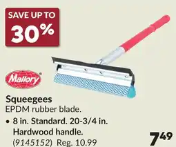 Princess Auto Squeegees offer