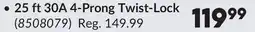 Princess Auto 25 ft 30A 4-Prong Twist-Lock Generator Extension Cords offer