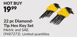 Princess Auto 22 pc Diamond- Tip Hex Key Set offer