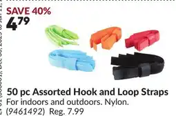 Princess Auto 50 pc Assorted Hook and Loop Straps offer