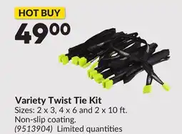 Princess Auto Variety Twist Tie Kit offer