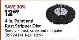 Princess Auto 4 in. Paint and Rust Stripper Disc offer