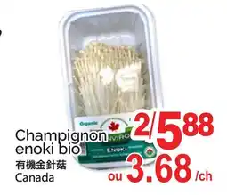 T&T Supermarket CHAMPIGNON ENOKI BIO offer