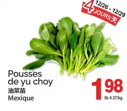 T&T Supermarket POUSSES DE YU CHOY offer