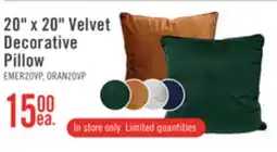 The Brick 20 x 20 Velvet Decorative Pillow offer