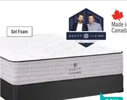 The Brick Scott Living Ashford TT Queen Mattress offer
