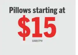 The Brick Masterguard Sleep-Rite Bamboo Standard Pillow offer