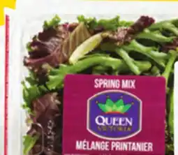 Giant Tiger 5 oz baby spinach or spring mix offer