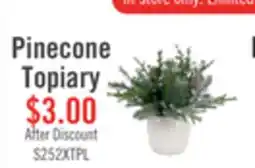 The Brick Kort & Co. Pine Berry in Grid Pot offer