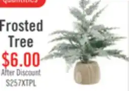 The Brick Kort & Co. Frosted Tree in Wood Pot offer