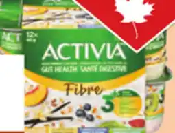 Giant Tiger Activia Yogurt offer