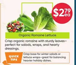Healthy Planet Organic Romaine Lettuce offer