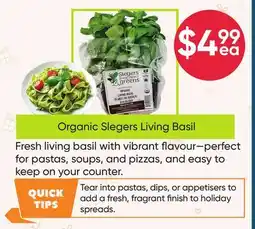 Healthy Planet Organic Slegers Living Basil offer