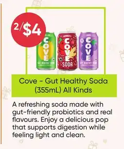 Healthy Planet Cove -Gut Healthy Soda (355mL) All Kinds offer