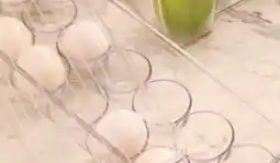 Giant Tiger Egg organizer offer