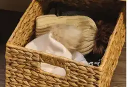 Giant Tiger Large basket: 16 x 11.5 x 8 offer