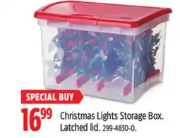 Canadian Tire Christmas Lights Storage Box offer