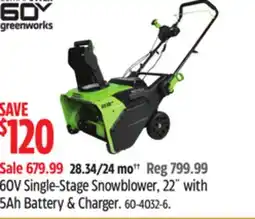 Canadian Tire Greenworks 60V single-Stage Snowblower, 22 with 5Ah Battery & Charger offer