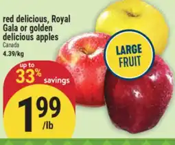 Marché Adonis Red delicious, Royal Gala or golden delicious apples offer
