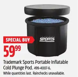 Canadian Tire Trademark Sports Portable Inflatable Cold Plunge Pod offer