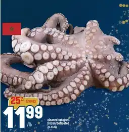 Marché Adonis Cleaned octopus frozen/defrosted offer