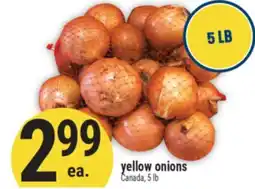 Marché Adonis Yellow onions offer