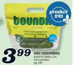 Marché Richelieu MINI CUCUMBERS | MINI CUCUMBERS offer