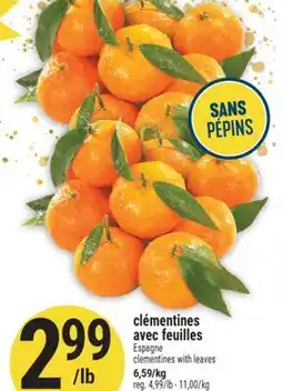 Marché Adonis Clémentines Avec Feuilles | Clementines with Leaves offer