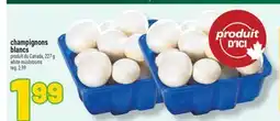 Marché Richelieu CHAMPIGNONS BLANCS | WHITE MUSHROOMS offer