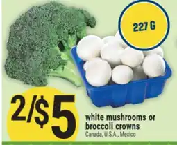 Marché Adonis White mushrooms or broccoli crowns offer
