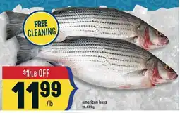 Marché Adonis American bass offer
