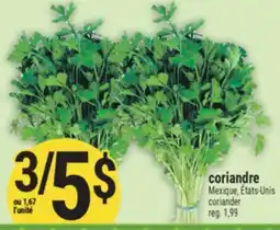 Marché Adonis Coriandre | coriander offer