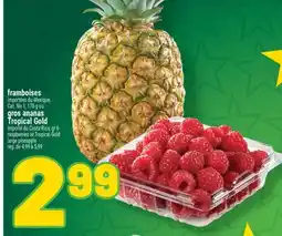 Marché Richelieu FRAMBOISES OU GROS ANANAS | RASPBERRIES OR TROPICAL GOLD LARGE PINEAPPLE offer