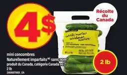 Maxi MINI CONCOMBRES NATURELLEMENT IMPARFAITS, SANS NOM , 2 LB offer