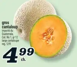 Marché Richelieu GROS CANTALOUP | LARGE CANTALOUPE offer