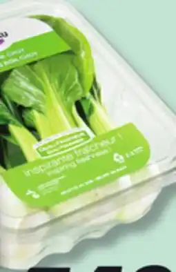 IGA BOK CHOY OR BABY BOK CHOY JUNIOR offer