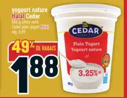 Marché Adonis Yogourt nature Halal Cedar | Cedar plain yogurt Halal offer