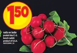 Maxi RADIS EN BOTTE | BUNCH RADISH offer