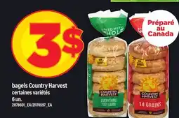 Maxi BAGELS COUNTRY HARVEST, 6 un offer