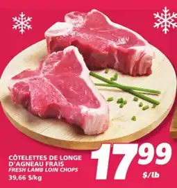 IGA FRESH LAMB LOIN CHOPS offer