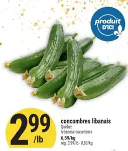 Marché Adonis Concombres libanais | lebanese cucumbers offer