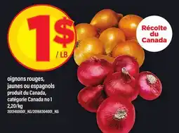 Maxi OIGNONS ROUGES, JAUNES OU ESPAGNOLS offer