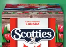 IGA SCOTTIES BATHROOM offer