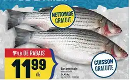 Marché Adonis BAR AMÉRICAIN | AMERICAN BASS offer