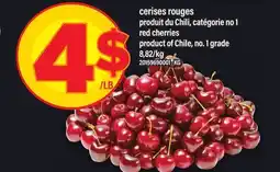 Maxi CERISES ROUGES | RED CHERRIES offer
