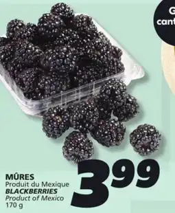 IGA BLACKBERRIES offer