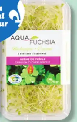 IGA AQUAFUCHSIA ORGANIC MICROGREENS offer