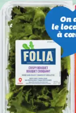 IGA FOLIA GREENHOUSE CRUNCKY GREENS OR CRISPY BOUQUET, CRUNCHY LETTUCE offer